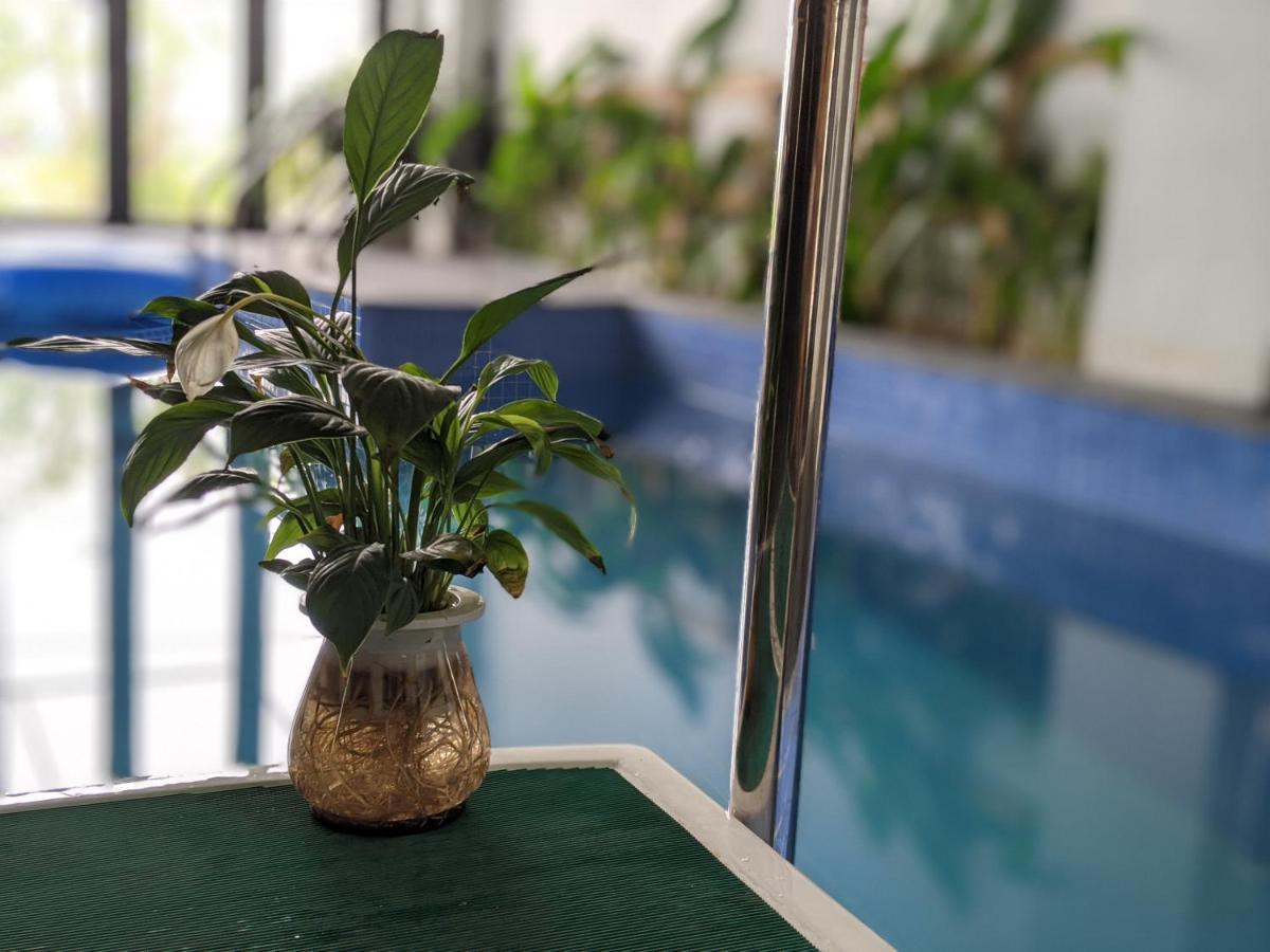Cocoon Homestay Tam Coc Ninh Bình Extérieur photo